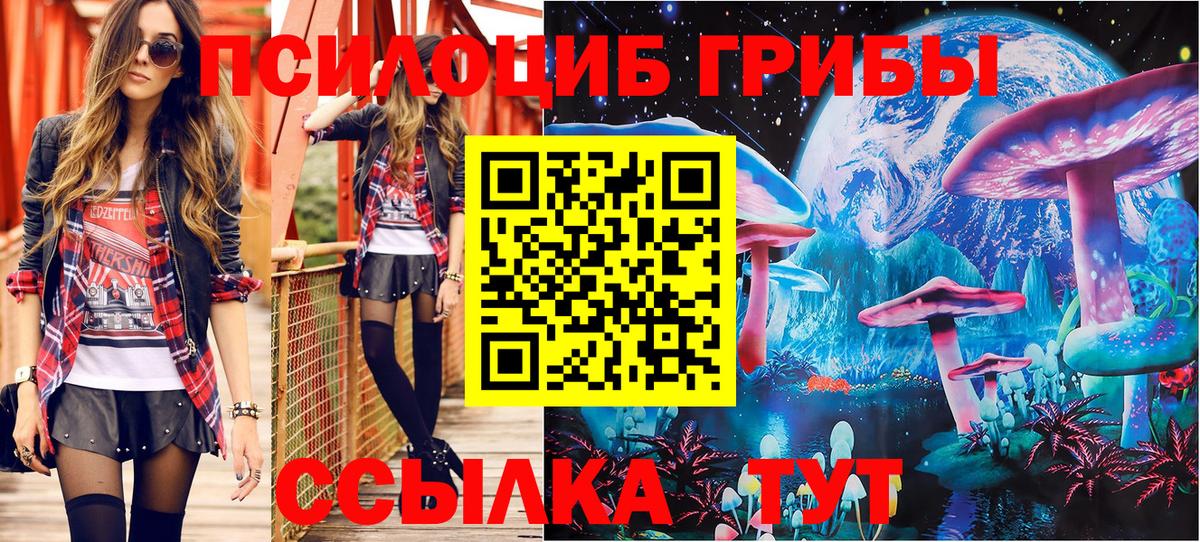 Псилоцибиновые грибы MAGIC MUSHROOMS  Вход с VPN  Галлюциногенные грибы Psilocybe  Рязань 