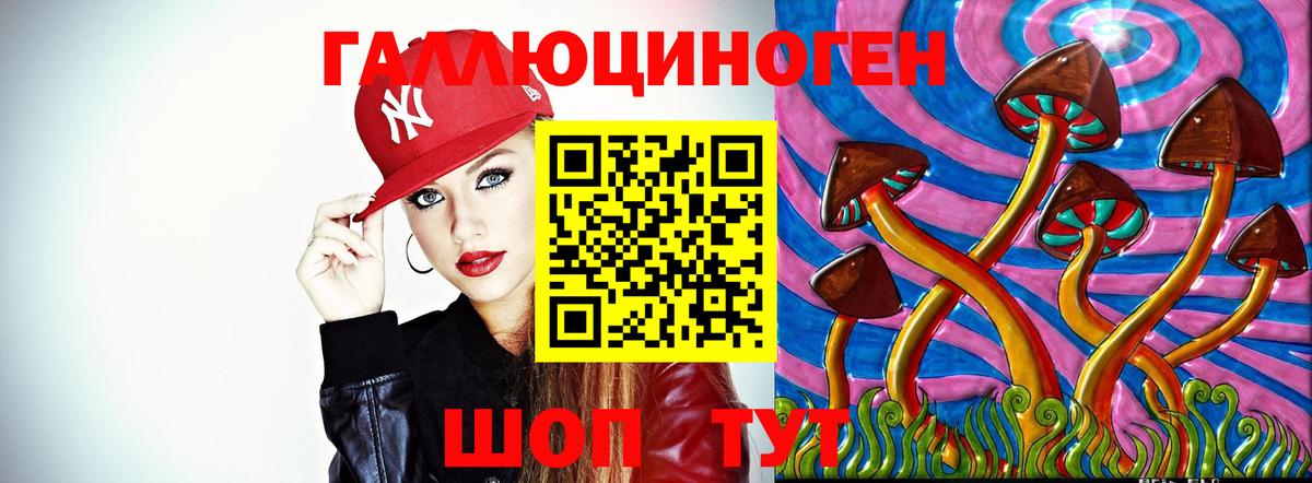 Галлюциногенные грибы Psilocybe Рязань